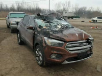 2017 FORD ESCAPE TIT 1FMCU9J96HUA78124