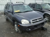 2005 HYUNDAI SANTA FE KM8SB13D05U011695