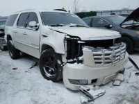 2011 CADILLAC ESCALADE E 1GYS4HEF5BR291502