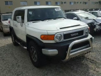 2010 TOYOTA FJ CRUISER JTEZU4BF7AK009798