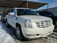 2011 CADILLAC ESCALADE E 1GYS4JEF7BR126557