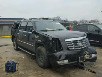 2011 CADILLAC ESCALADE E 1GYS4GEF1BR145866