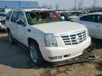 2010 CADILLAC ESCALADE P 1GYUKCEF3AR155448