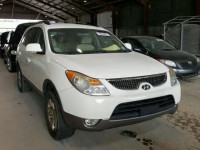 2010 HYUNDAI VERACRUZ G KM8NU4CC0AU122080