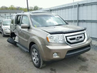 2010 HONDA PILOT TOUR 5FNYF4H86AB007833