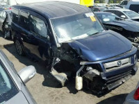 2008 HONDA ELEMENT SC 5J6YH18938L017450