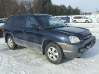 2005 HYUNDAI SANTA FE KM8SB13D55U902114