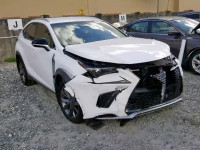 2019 LEXUS NX 300 JTJYARBZ8K2128846