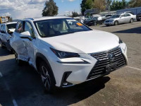 2019 LEXUS NX 300 JTJYARBZ1K2118448