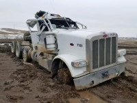 2013 PETERBILT 388 1XPWP4EX6DD195974