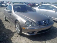 2004 MERCEDES-BENZ CL 55 AMG WDBPJ74J04A041220