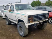 1983 FORD BRONCO U10 1FMDU15G9DLA51062