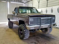 1981 CHEVROLET K10 1GCEK14H3BF365181