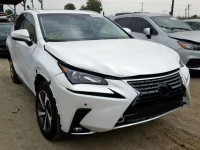 2019 LEXUS NX 300 JTJYARBZ3K2117558