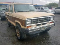 1985 FORD BRONCO II 1FMCU14S2FUB22066