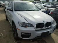 2013 BMW X6 XDRIVE3 5UXFG2C58DL786948