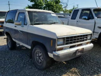 1986 FORD BRONCO II 1FMCU14T9GUC85663