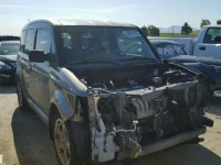 2008 HONDA ELEMENT SC 5J6YH18958L004067