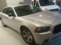 2013 DODGE CHARGER PO 2C3CDXAT1DH677034