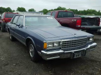 1984 CHEVROLET CAPRICE CL 2G1AN69H5E9275712