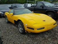 1991 CHEVROLET CORVETTE 1G1YY2386M5105488