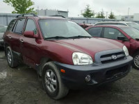 2005 HYUNDAI SANTA FE KM8SB73EX5U977886