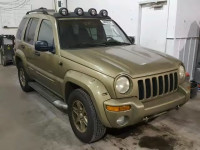 2002 JEEP LIBERTY RE 1J4GK38K12W311947