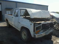 1981 FORD F100 1FTCF10E9BNA78621