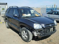 2005 HYUNDAI SANTA FE KM8SB73D75U904367