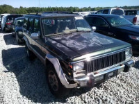 1995 JEEP CHEROKEE C 1J4FJ78SXSL631310