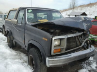 1986 FORD BRONCO U10 1FMDU15Y9GLA23663