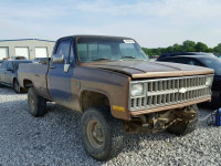 1981 CHEVROLET K10 2GCEK14D5B1172907