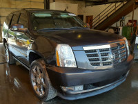 2010 CADILLAC ESCALADE P 1GYUCCEF4AR252171