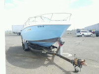 1977 SEAR MARINE/TRL SERA97260677