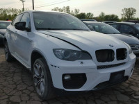 2013 BMW X6 XDRIVE3 5UXFG2C54DL783383