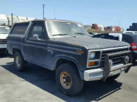 1981 FORD BRONCO U10 1FMEU15G9BLA59325