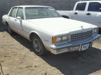 1984 CHEVROLET CAPRICE CL 1G1AN69H1EX113481
