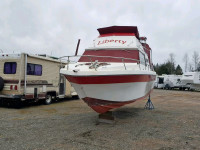 1977 CHAM BOAT WNZ14844F777