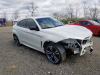 2016 BMW X6 M 5YMKW8C53G0R43613