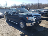 2013 FORD F150 4WD 1FTFW1EF6DFB07102