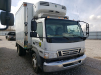2009 FORD LOW CAB FO 3FRLL45Z79V142274