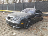 2004 MERCEDES-BENZ CL 55 AMG WDBPJ74J04A039838