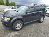 2011 Ford Escape Xlt 1FMCU9DG8BKC53650