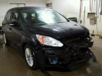 2014 FORD C-MAX SE 1FADP5AUXEL501310