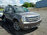 2013 CADILLAC ESCALADE P 1GYS4DEF8DR319000