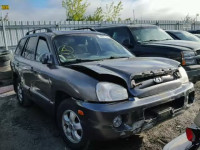 2005 HYUNDAI SANTA FE KM8SB73D85U865501