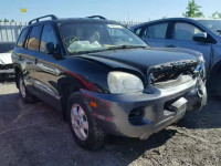 2005 HYUNDAI SANTA FE KM8SB13D55U928857