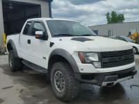 2011 FORD F150 SVT R 1FTEX1R6XBFB74785