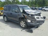 2010 HONDA ELEMENT EX 5J6YH1H70AL004496