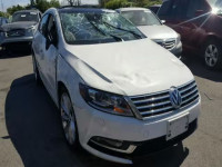 2013 VOLKSWAGEN CC LUXURY WVWHU7AN0DE501070